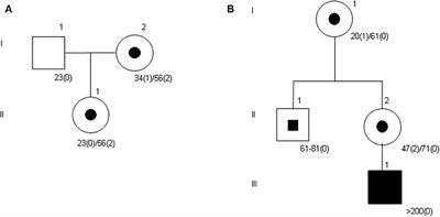 Effect of AGG Interruptions on FMR1 Maternal Transmissions